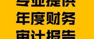 財務報表審計報告的費用是多少？
